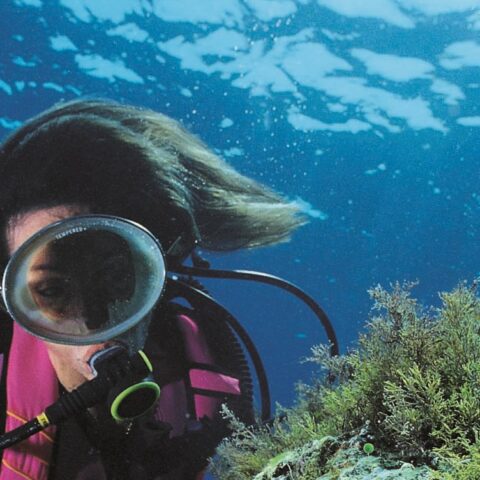 Diving & snorkeling nella Baia del Sole