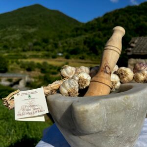 Campionato Nazionale di Salse al Mortaio con l’aglio di Vessalico