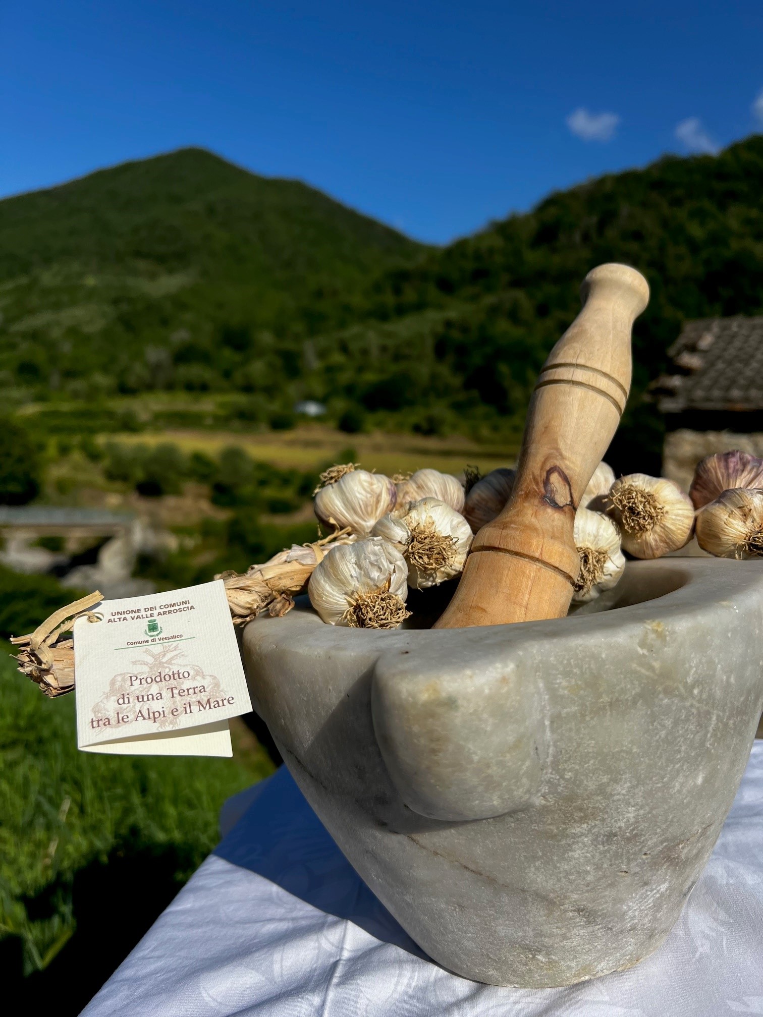 Campionato Nazionale di Salse al Mortaio con l’aglio di Vessalico