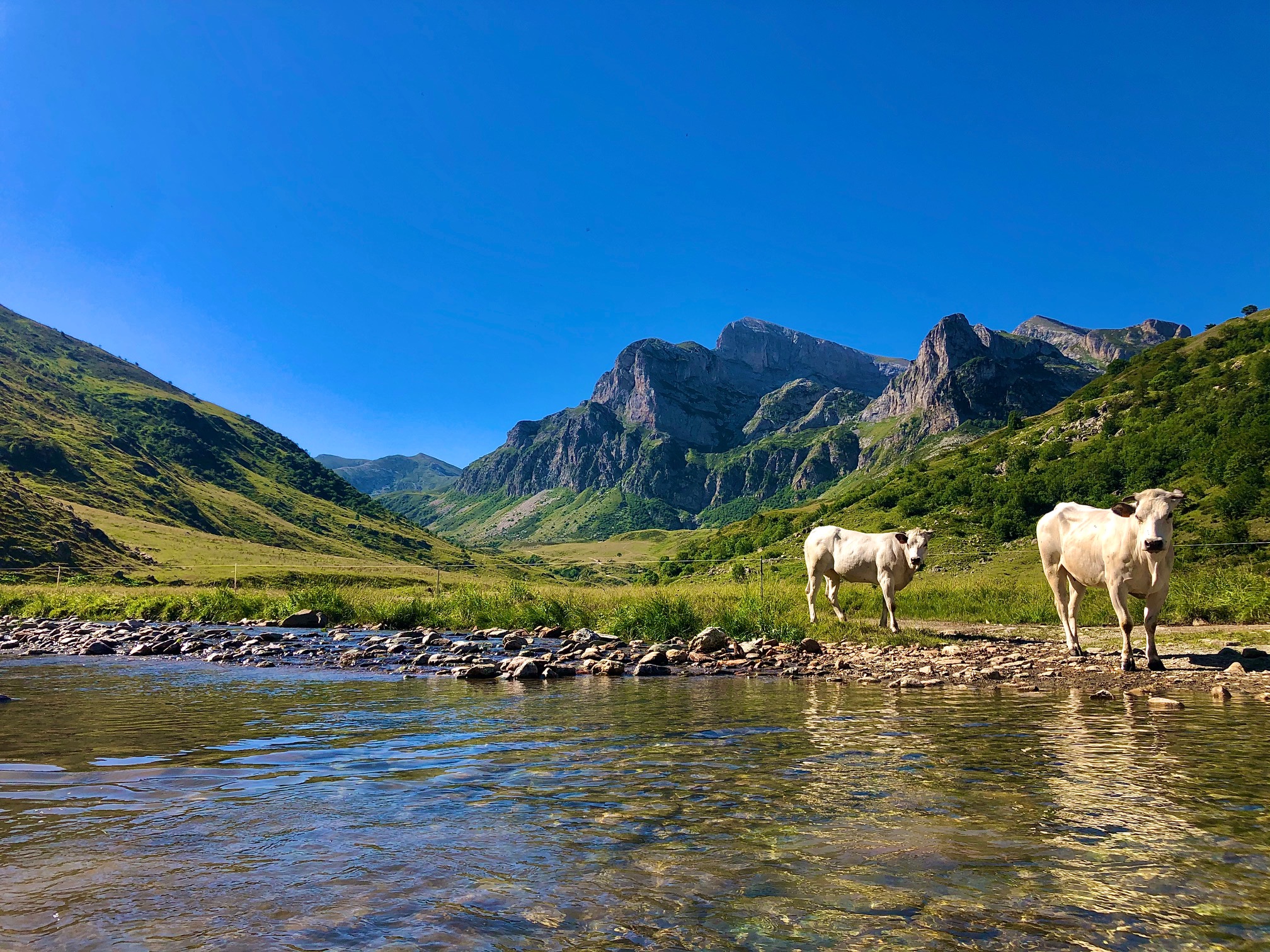 1 UNIA ROBERTA – PIAN MARCHISA (1)